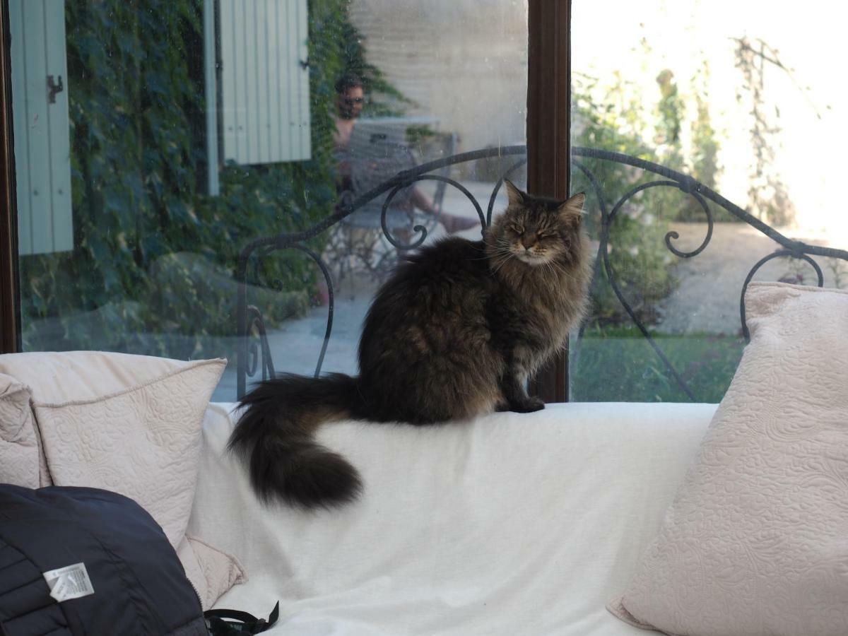 Le Chat Sur Le Toit ลูร์มาแร็ง ภายนอก รูปภาพ